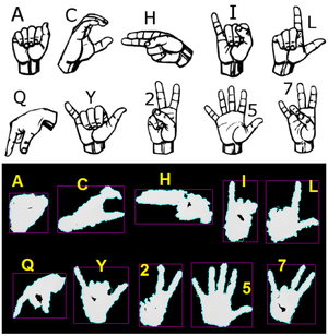 A Comparison of Random Forests and Dropout Nets for Sign Language Recognition with the Kinect